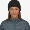 Patagonia Brodeo Beanie