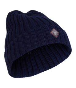 Spyder Men's Spector Beanie