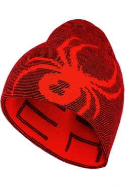 Spyder Mini Boy's Reversible Bug Hat -SnowLine Outfitters Shop spyder mini boys reversible bug hat 4