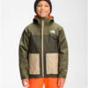 The North Face Boys' Freedom Triclimate Jacket