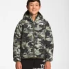 The North Face Boy's Printed Reversible North Down Hoodie Jacket
