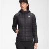 The North Face Women's Thermoball Eco Hoodie -SnowLine Outfitters Shop the north face womens thermoball eco hoodie